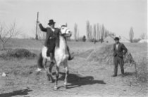 Botoló lovon. Kékcse, 1955.